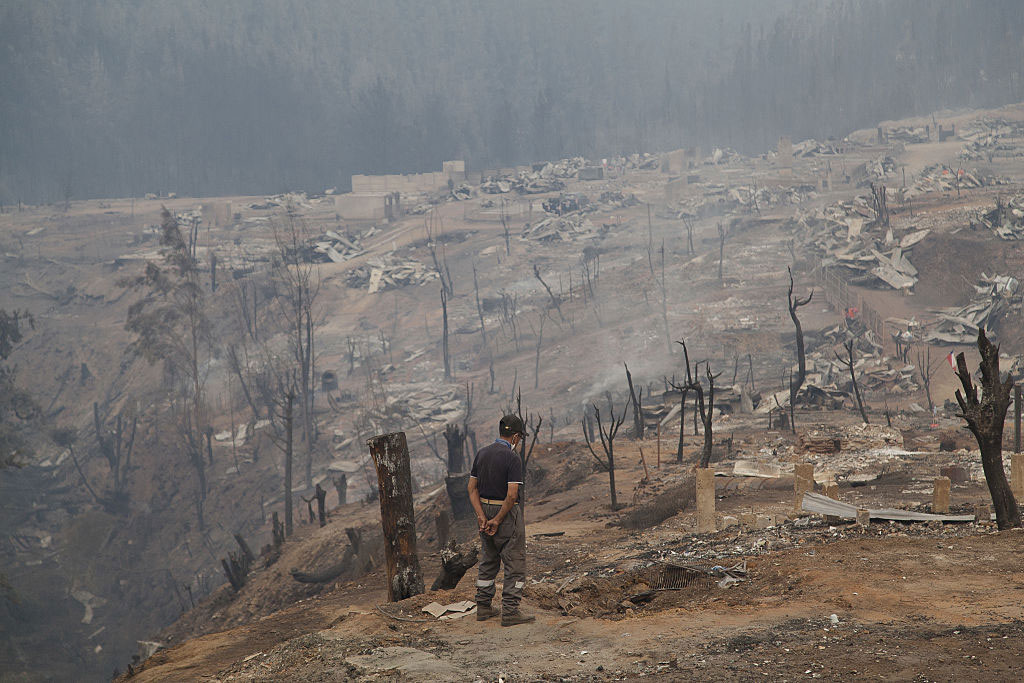 Chile: ¿Cómo crea un futuro resiliente para sus bosques?
