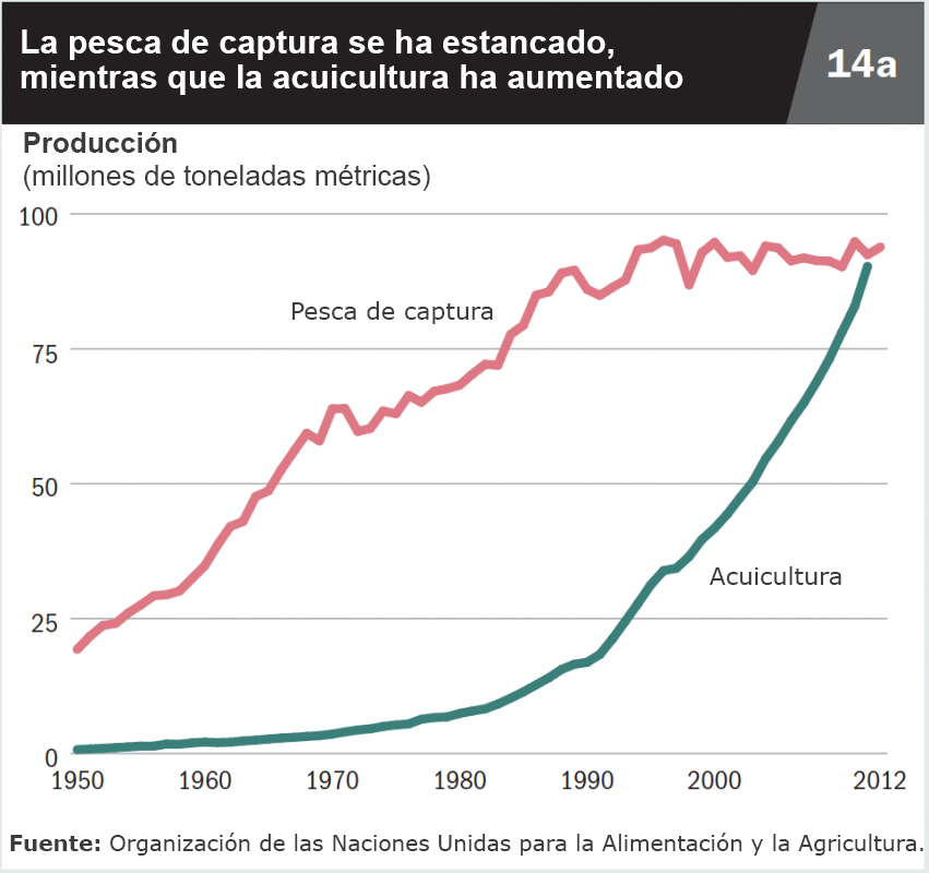 La pesca de captura se ha estancado, mientras que la acuicultura ha aumentado.