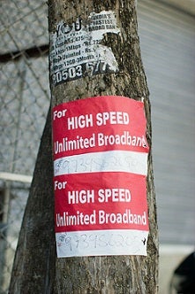 if only this tree were outside my school!