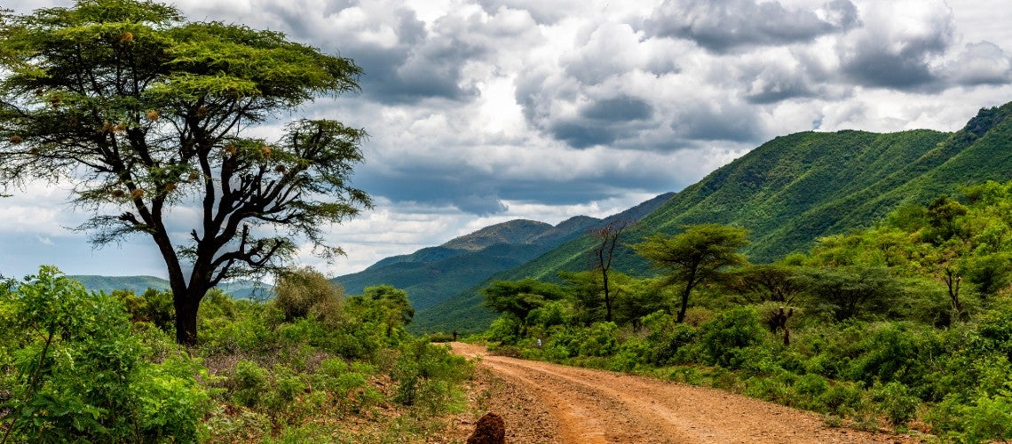 10,000 kilometers of roads in Kenya have been upgraded be resilient to the ravages of climate change through foreign direct investment and guarantees