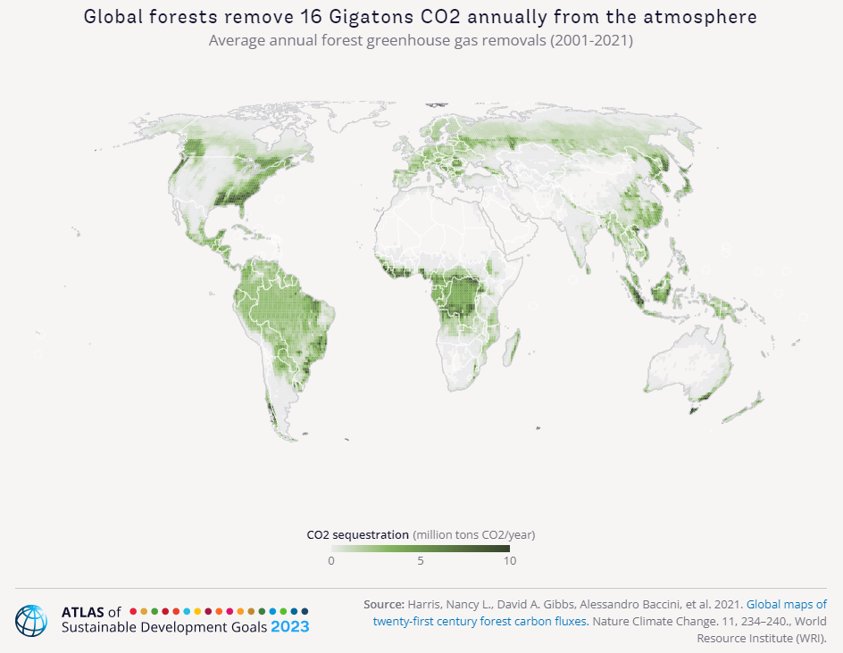 Average annual forest greenhouse gas removals (2001-2021)
