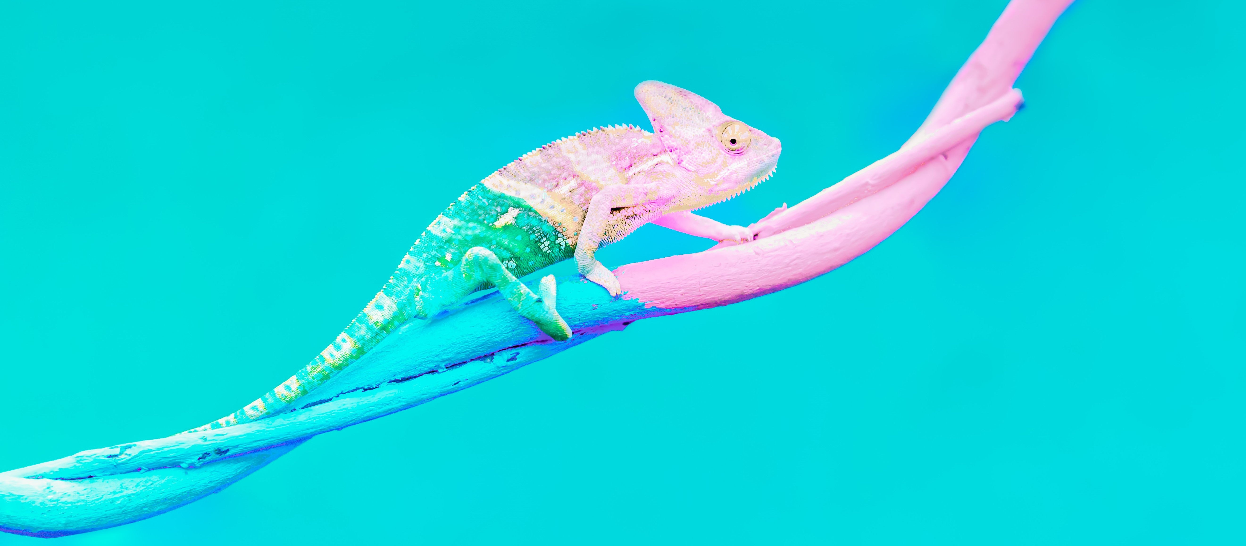 A recent report by the World Bank and IFC points to barriers to attracting private finance needed to advance countries? adaptation agendas?and how governments can play a key role to bring them down. This week?s blog also explains how PPIAF and GIF can support this work.